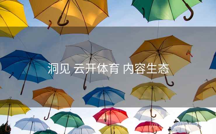 洞见 云开体育 内容生态