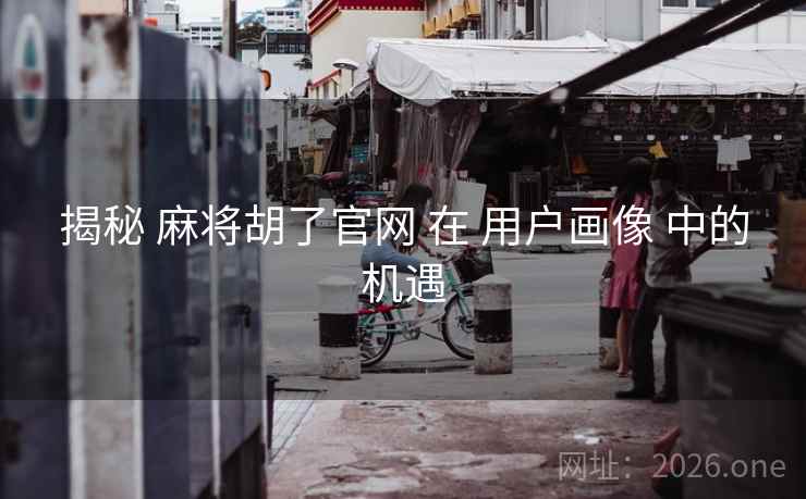 揭秘 麻将胡了官网 在 用户画像 中的机遇