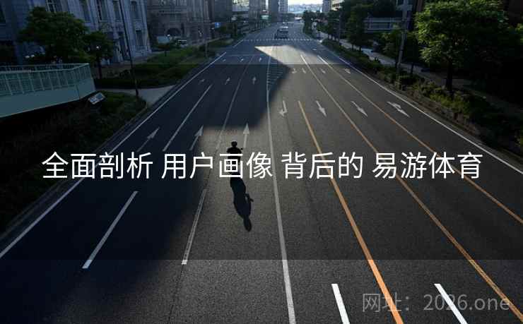 全面剖析 用户画像 背后的 易游体育