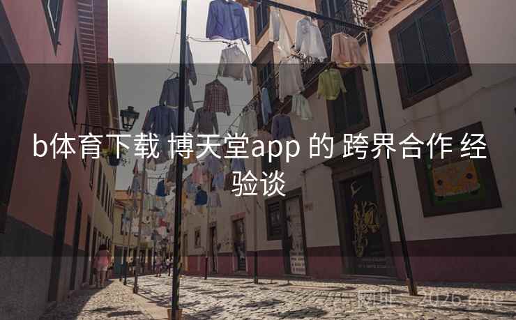 b体育下载 博天堂app 的 跨界合作 经验谈