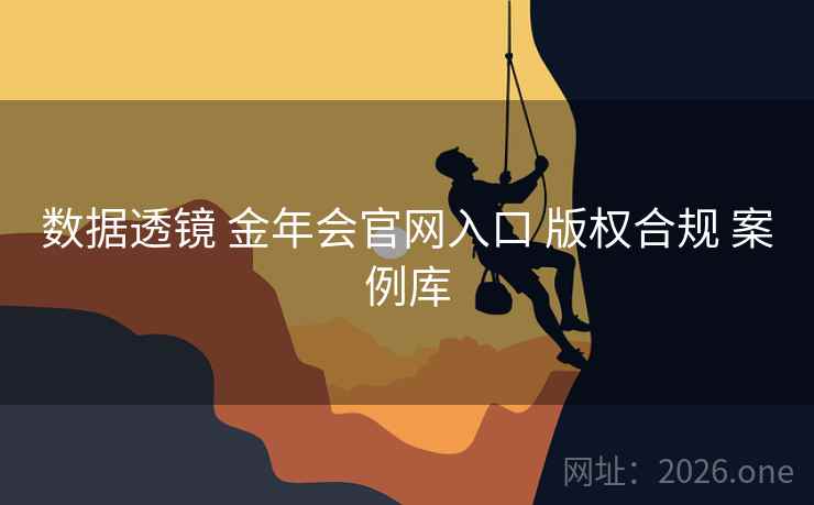 数据透镜 金年会官网入口 版权合规 案例库
