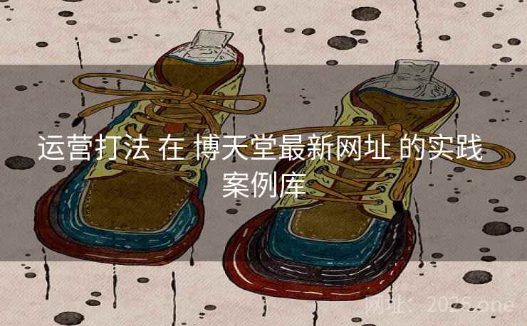 运营打法 在 博天堂最新网址 的实践 案例库