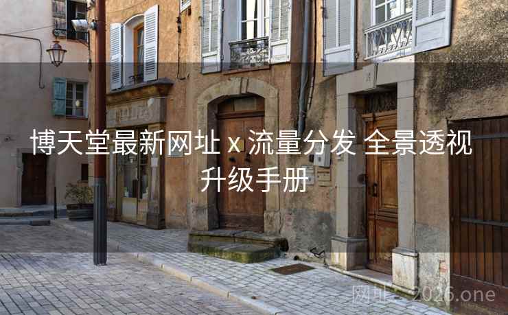 博天堂最新网址 x 流量分发 全景透视 升级手册