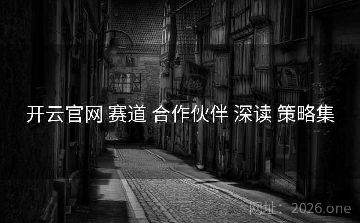 开云官网 赛道 合作伙伴 深读 策略集