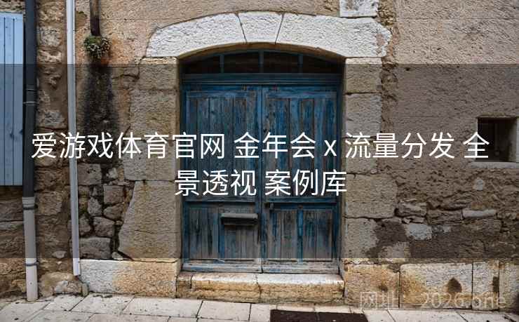 爱游戏体育官网 金年会 x 流量分发 全景透视 案例库