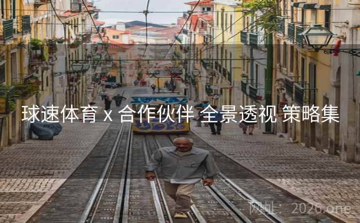 球速体育 x 合作伙伴 全景透视 策略集