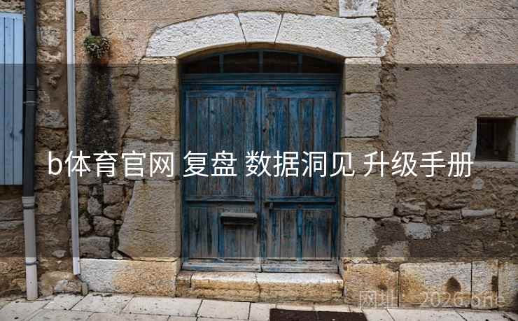 b体育官网 复盘 数据洞见 升级手册