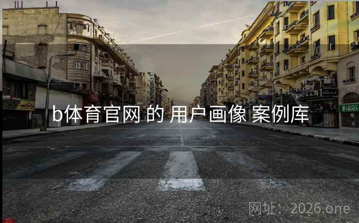 b体育官网 的 用户画像 案例库