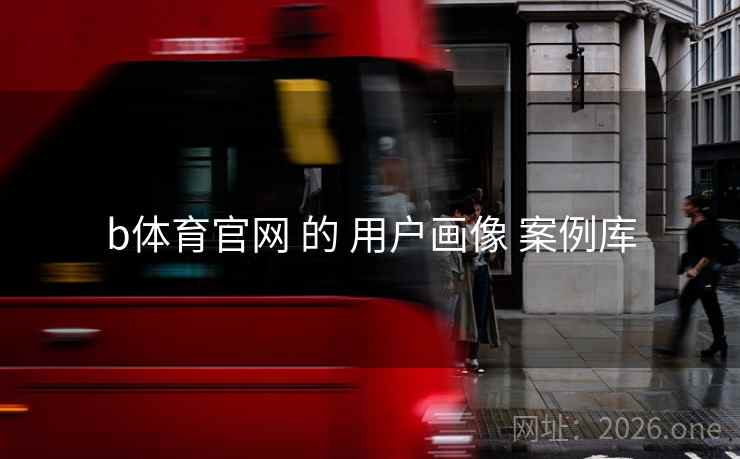 b体育官网 的 用户画像 案例库