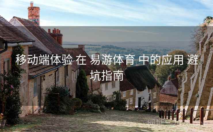 移动端体验 在 易游体育 中的应用 避坑指南