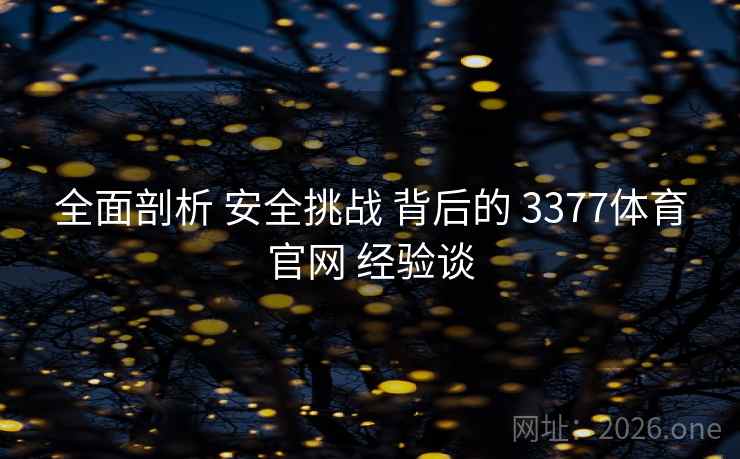 全面剖析 安全挑战 背后的 3377体育官网 经验谈