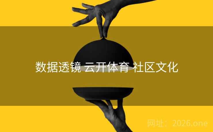 数据透镜 云开体育 社区文化